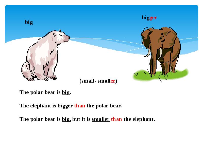 Small smaller the smallest better. Белый медведь по английскому. Рассказ про медведя по английскому языку. Медведь на английском языке. Polar Bear проект на англ яз.