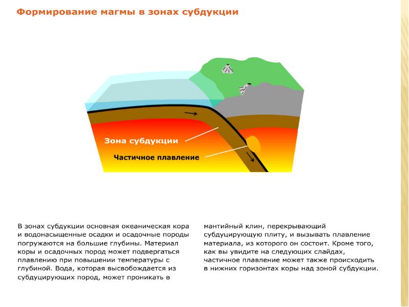 Эндогенные процессы презентация