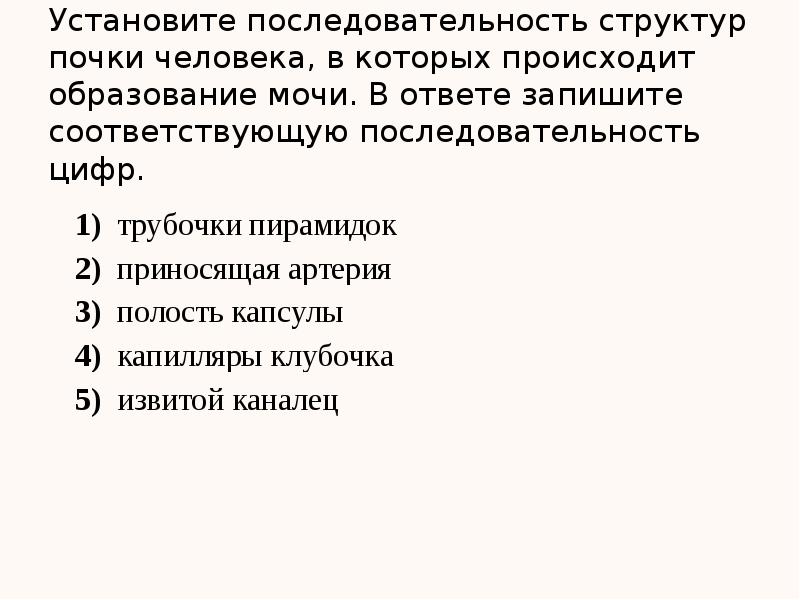 Установите последовательность образования