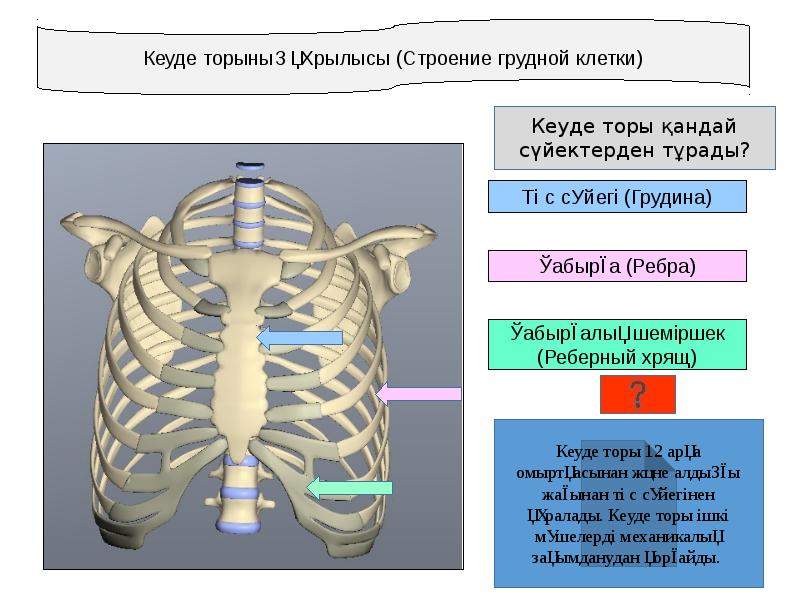 Кеуде жарақаттары презентация