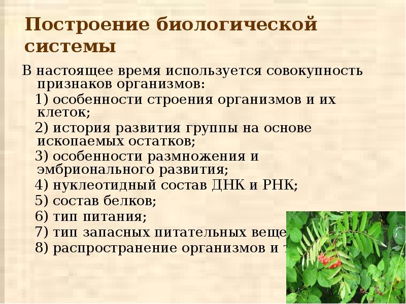 Единство и многообразие органического мира презентация