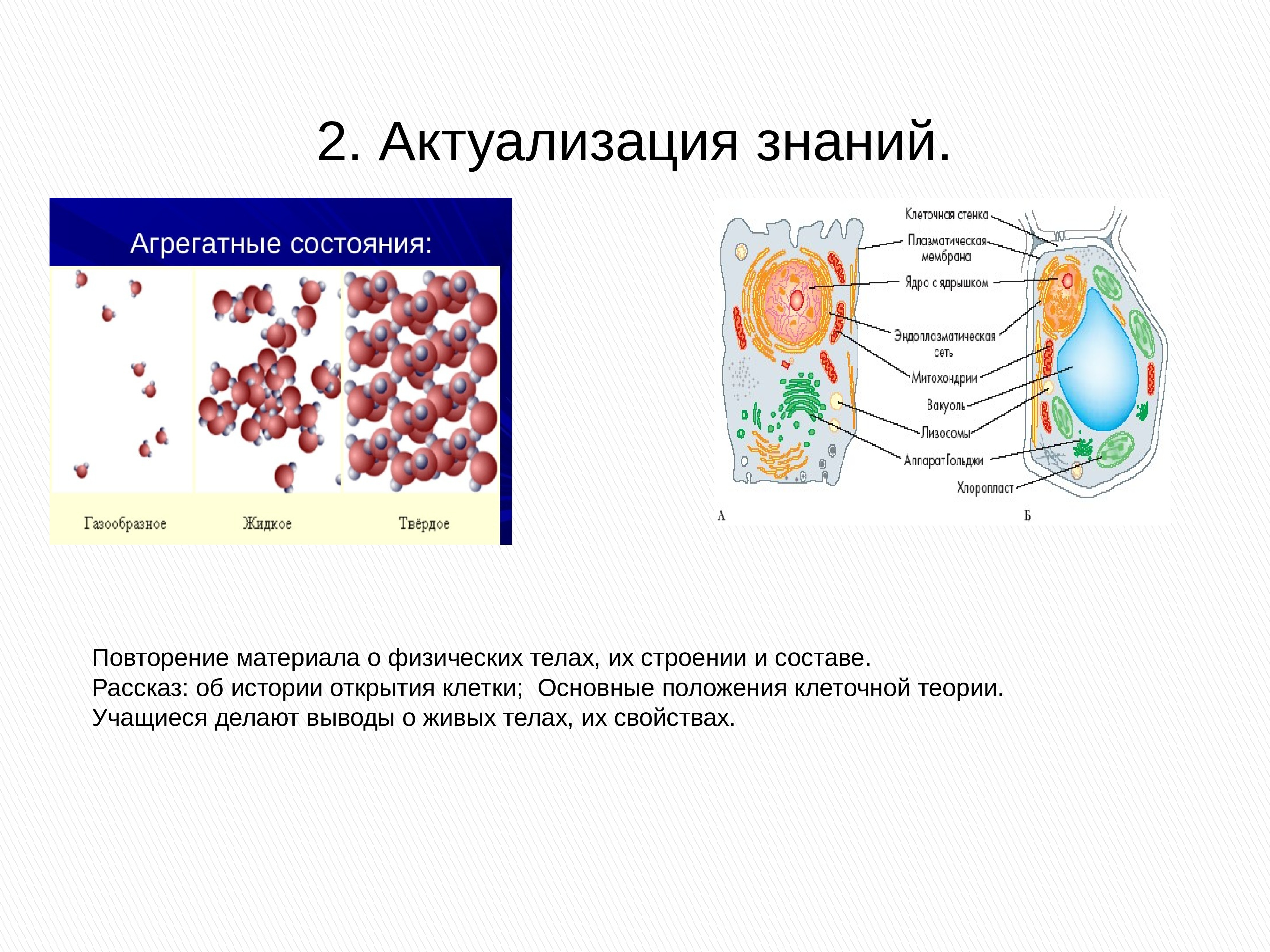 Открытие клетки. Открытие клеточного строения организмов. Краткое сообщение об открытии клетки. Открытие клетки в биологии. Открытие клетки сообщение по биологии.