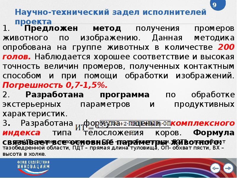 Задел по тематике проекта что это