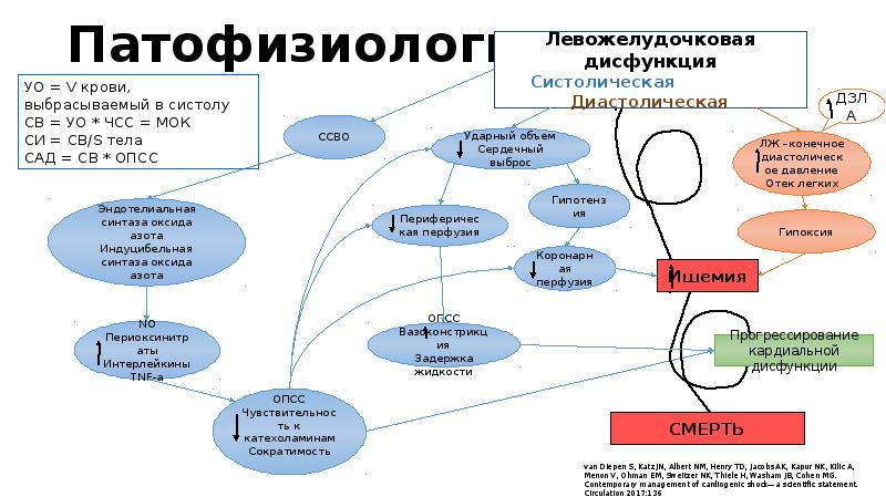 Кардиогенді шок презентация