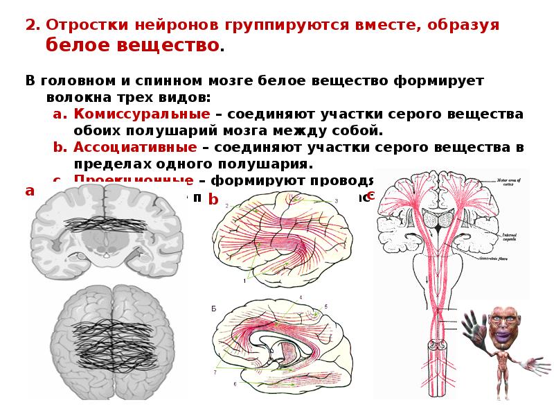 Резидуальные изменения головного мозга