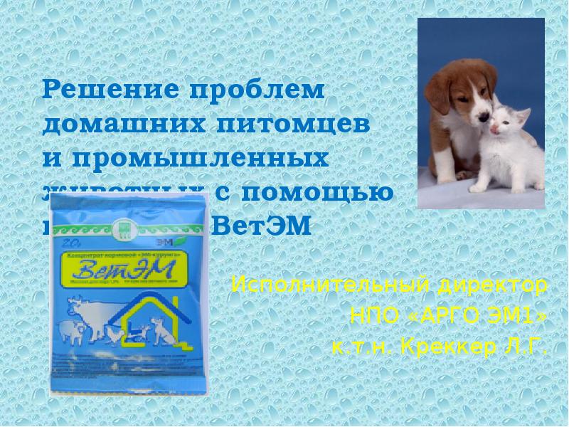 Решение проблем домашних питомцев и промышленных животных с помощью препарата ВетЭМ
Решение проблем домашних питомцев и промышленных животных с помощью препарата ВетЭМ