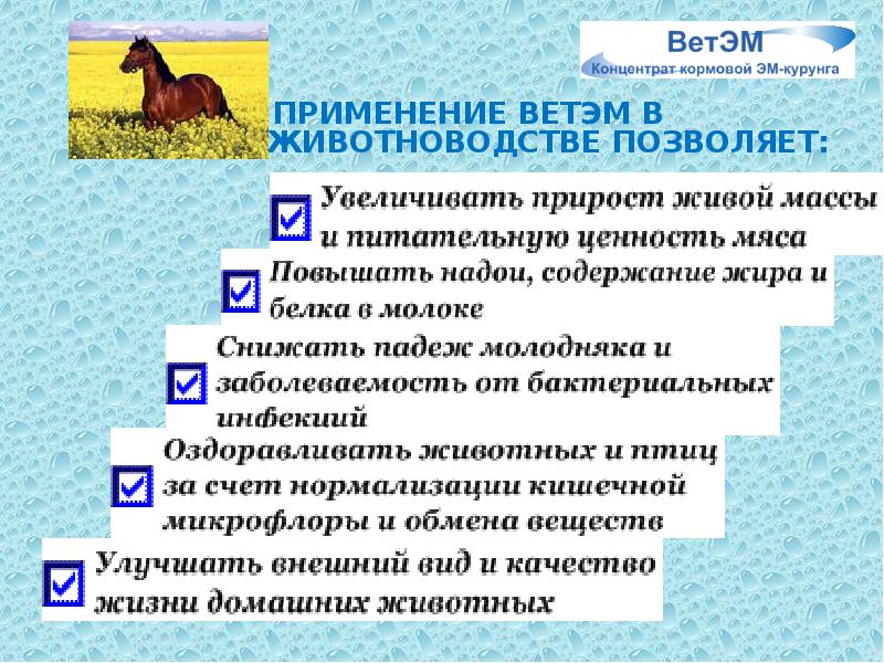 ПРИМЕНЕНИЕ ВЕТЭМ В ПРИМЕНЕНИЕ ВЕТЭМ В