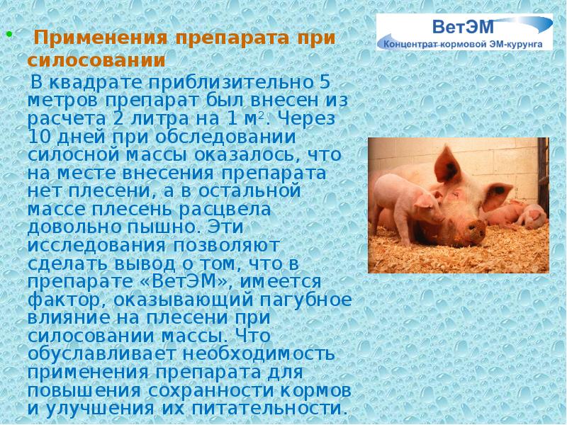 Применения препарата при силосовании
Применения препарата при силосовании
Применения препарата при силосовании
Применения препарата при силосовании