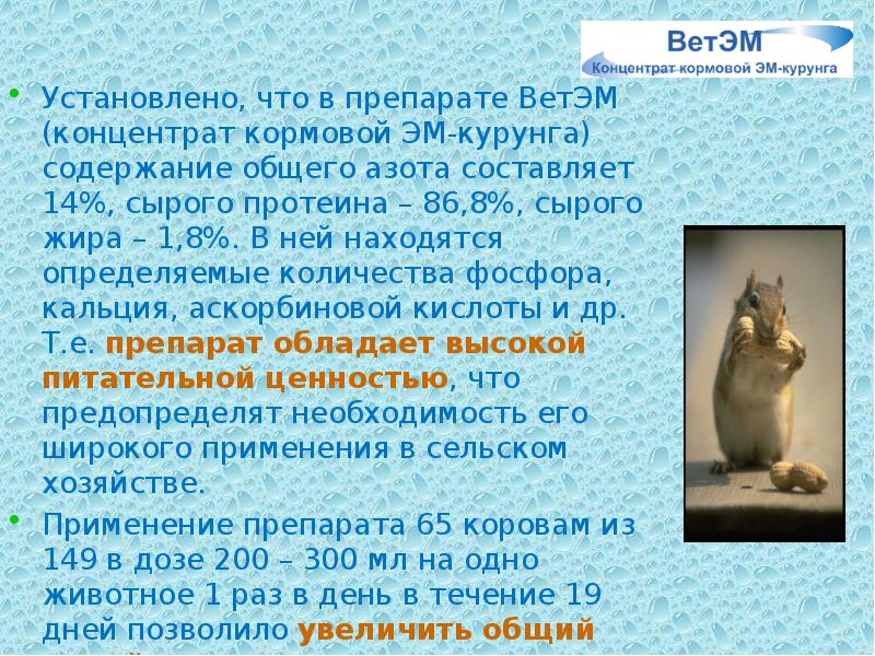 Установлено, что в препарате ВетЭМ (концентрат кормовой ЭМ-курунга) содержание общего азота Установлено, что в препарате ВетЭМ (концентрат кормовой ЭМ-курунга) содержание общего азота