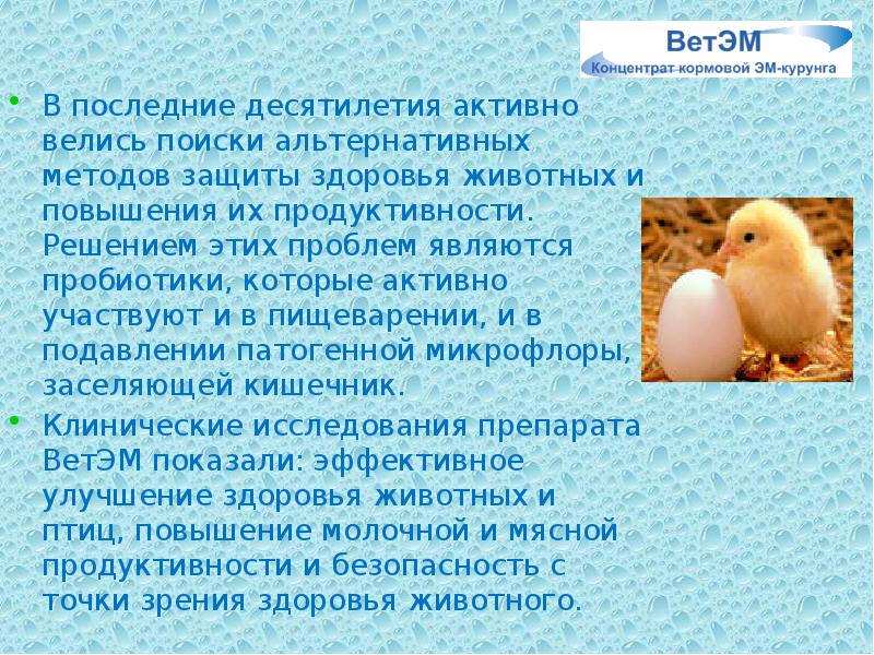 В последние десятилетия активно велись поиски альтернативных методов защиты здоровья животных В последние десятилетия активно велись поиски альтернативных методов защиты здоровья животных