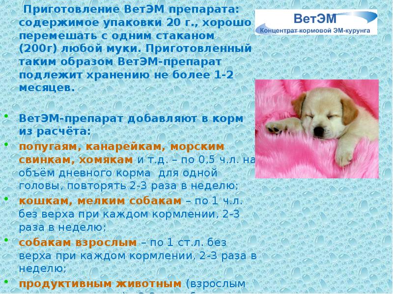 Приготовление ВетЭМ препарата: содержимое упаковки 20 г., хорошо перемешать с одним Приготовление ВетЭМ препарата: содержимое упаковки 20 г., хорошо перемешать с одним