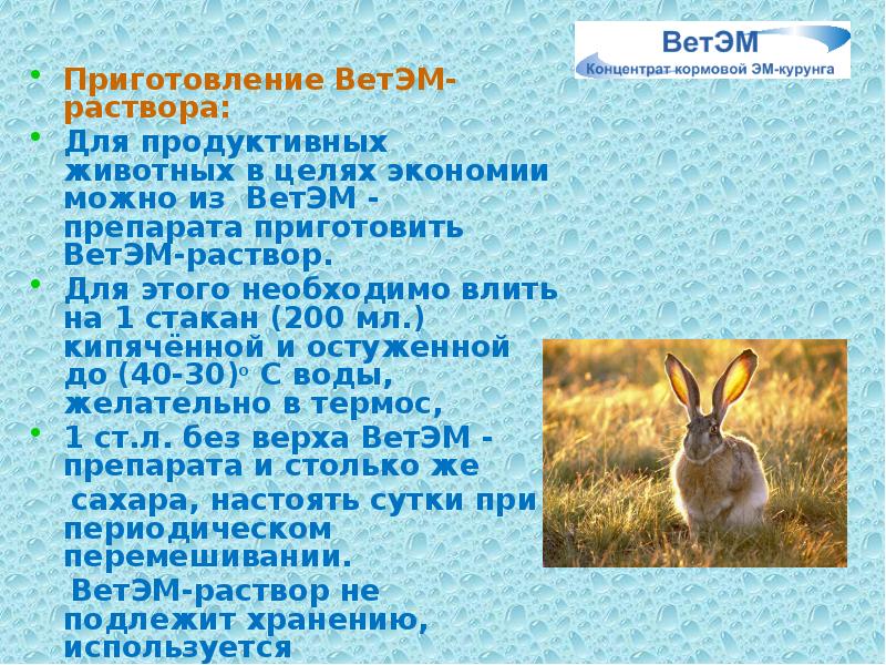 Приготовление ВетЭМ-раствора:
Приготовление ВетЭМ-раствора:
Для продуктивных животных в целях Приготовление ВетЭМ-раствора:
Приготовление ВетЭМ-раствора:
Для продуктивных животных в целях
