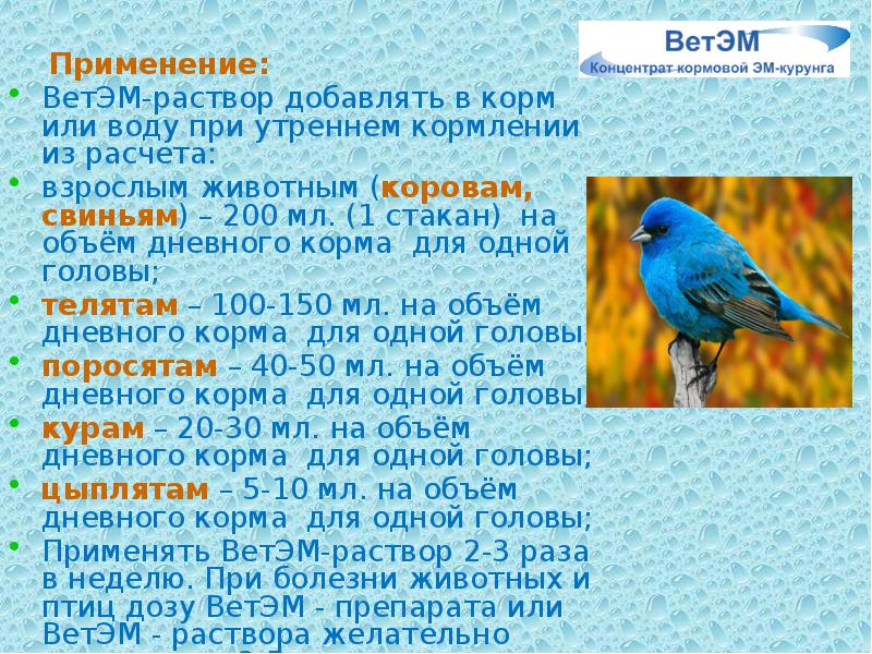 Применение:
Применение:
ВетЭМ-раствор добавлять в корм или Применение:
Применение:
ВетЭМ-раствор добавлять в корм или