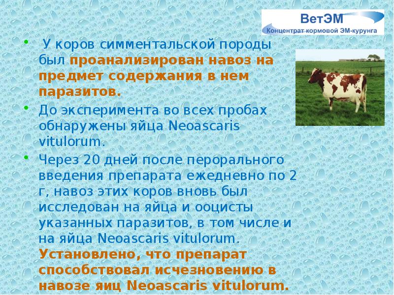 У коров симментальской породы был проанализирован навоз на предмет содержания в У коров симментальской породы был проанализирован навоз на предмет содержания в