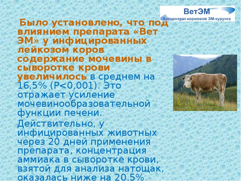 Было установлено, что под влиянием препарата «Вет ЭМ» у инфицированных лейкозом Было установлено, что под влиянием препарата «Вет ЭМ» у инфицированных лейкозом