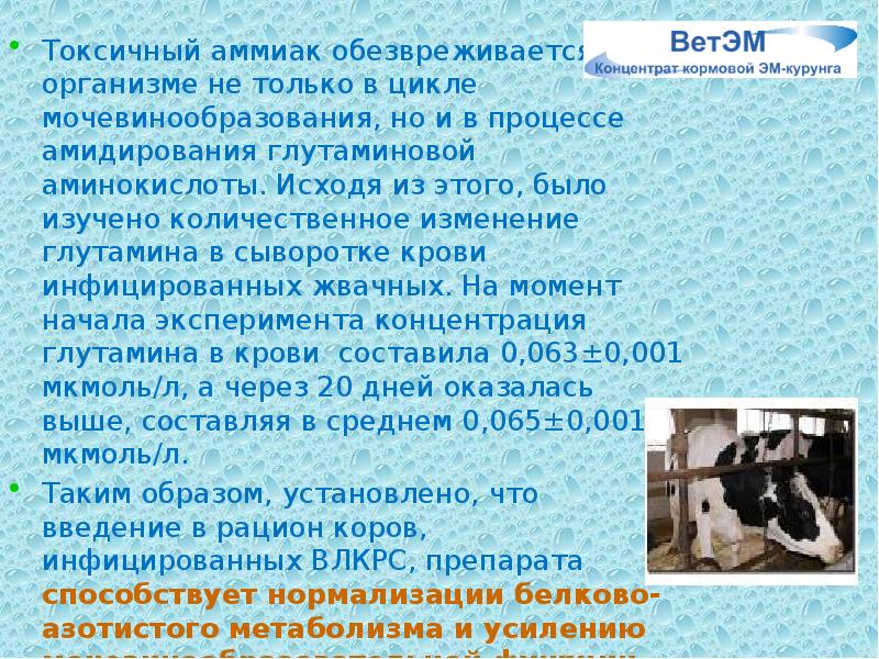 Токсичный аммиак обезвреживается в организме не только в цикле мочевинообразования, но Токсичный аммиак обезвреживается в организме не только в цикле мочевинообразования, но