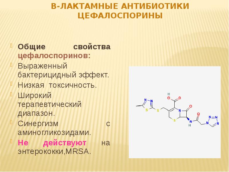 Бета лактамные антибиотики презентация