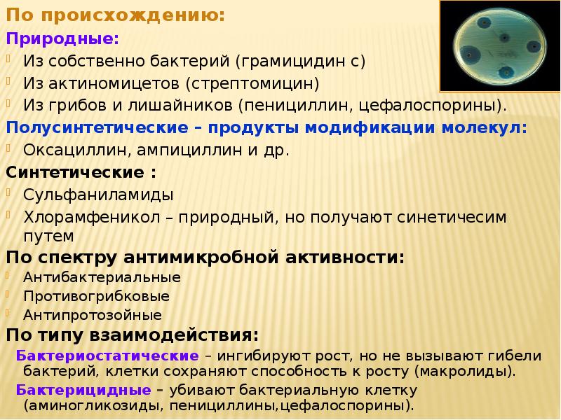 Используется для получения антибиотиков гриб. Используется для получения антибиотиков гриб