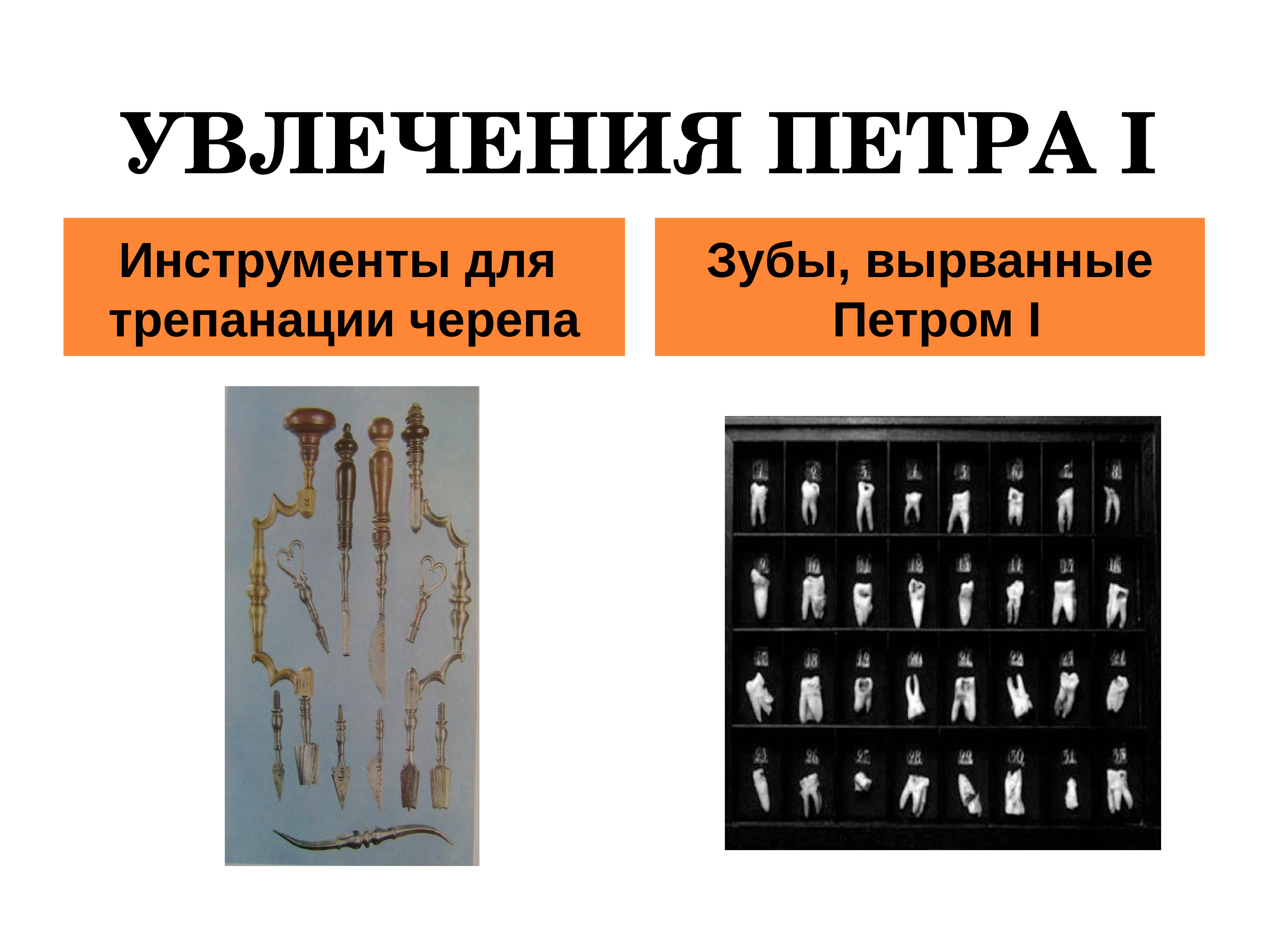 Петровские преобразования провозглашение империи презентация