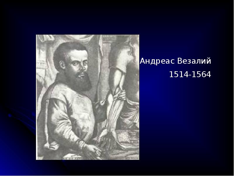 Везалий орша. Андреас Везалий (1514-1564). Везалий (1514-1564)детство. Памятник Везалию. Andreas Vesalius 1514 1564.