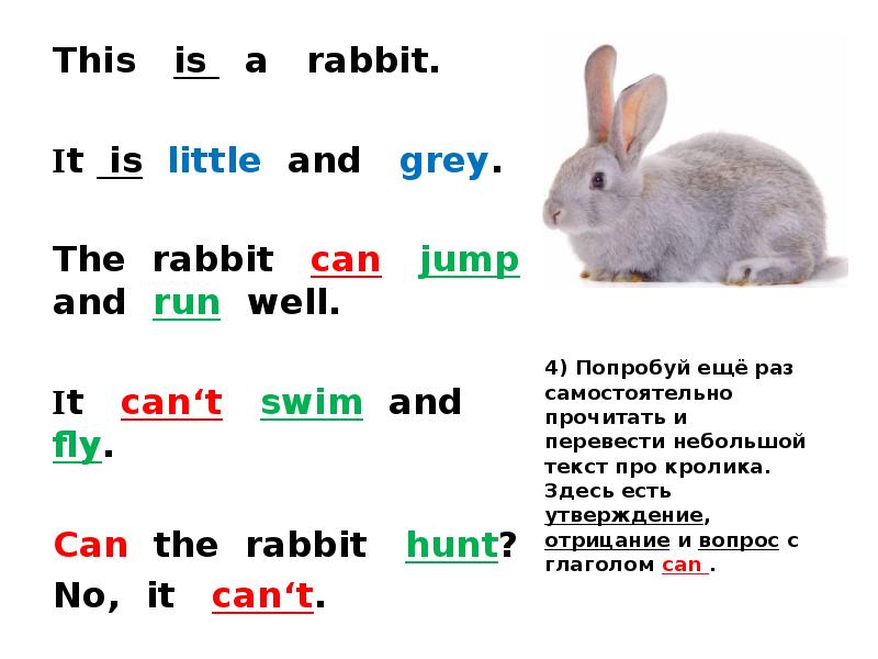 Измени предложения по образцу i like rabbits