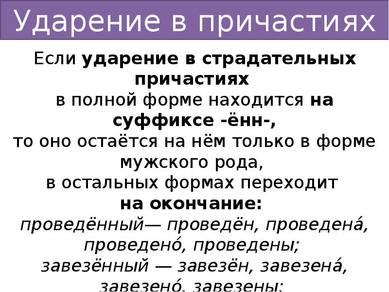 Расставьте ударение договор квартал