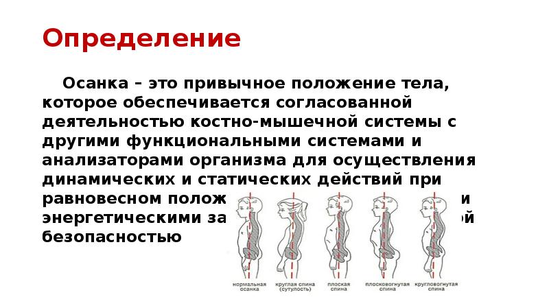 При помещении тела в положение. Осанка. Осанка это определение. Нормальная осанка человека. Динамическая осанка.