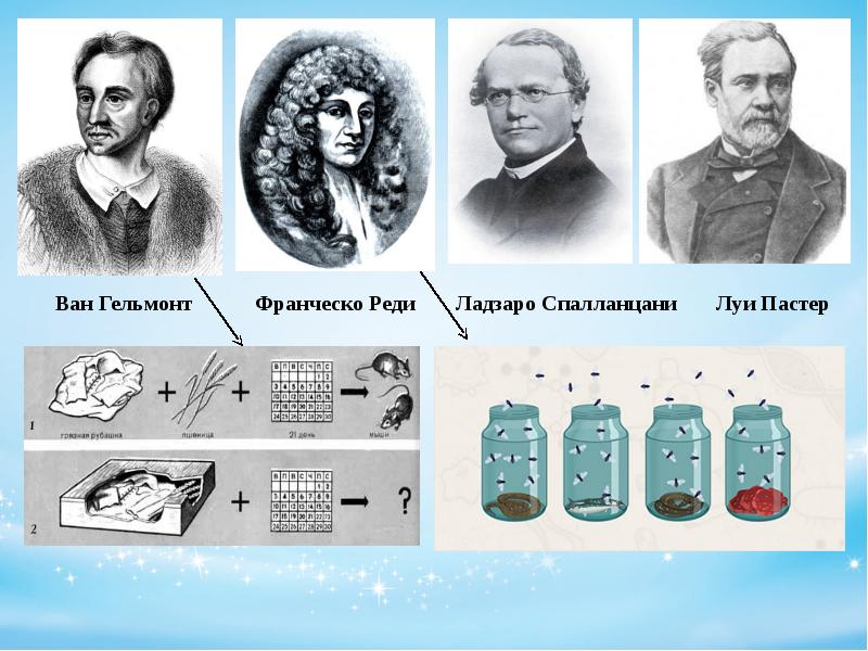 опыт луи пастера с колбами. луи пастер опыт с колбами кратко. опыт луи пастера и франческо реди. л пастер ф реди. опыты франческо реди и луи пастера кратко.