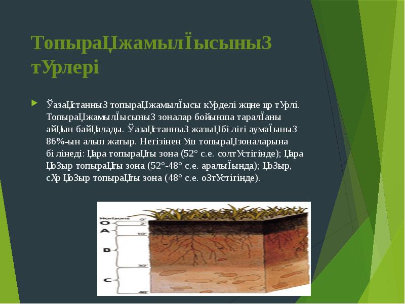 Топырақ жамылғысының түрлері
Қазақстанның топырақ жамылғысы күрделі және әр түрлі. Топырақ Топырақ жамылғысының түрлері
Қазақстанның топырақ жамылғысы күрделі және әр түрлі. Топырақ