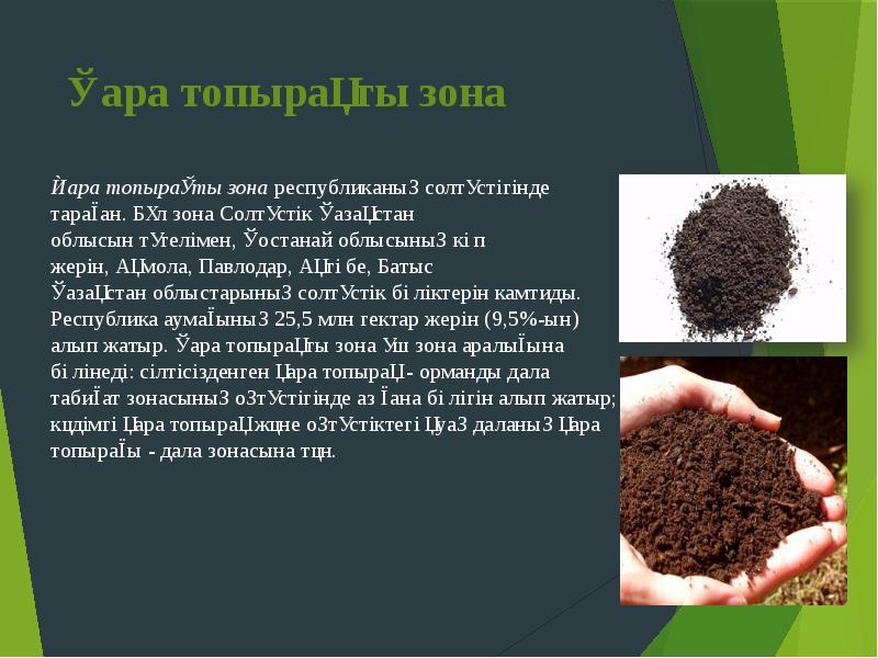 Қара топырақты зона
Қара топырақты зона республиканың солтүстігінде тараған. Бұл зона Солтүстік Қазақстан Қара топырақты зона
Қара топырақты зона республиканың солтүстігінде тараған. Бұл зона Солтүстік Қазақстан