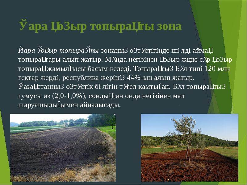 Қара қоңыр топырақты зона
Қара қоңыр топырақты зонаның оңтүстігінде шөлді аймақ топырақтары Қара қоңыр топырақты зона
Қара қоңыр топырақты зонаның оңтүстігінде шөлді аймақ топырақтары