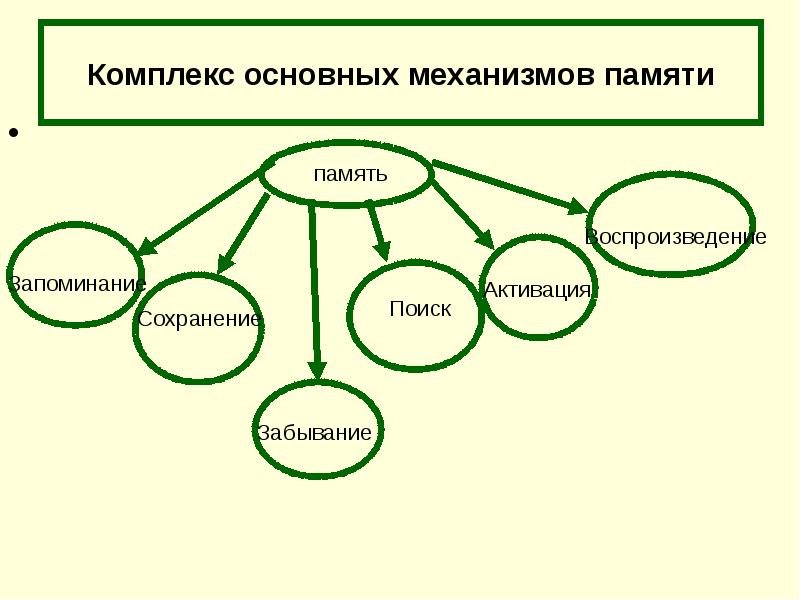 Память виды презентация