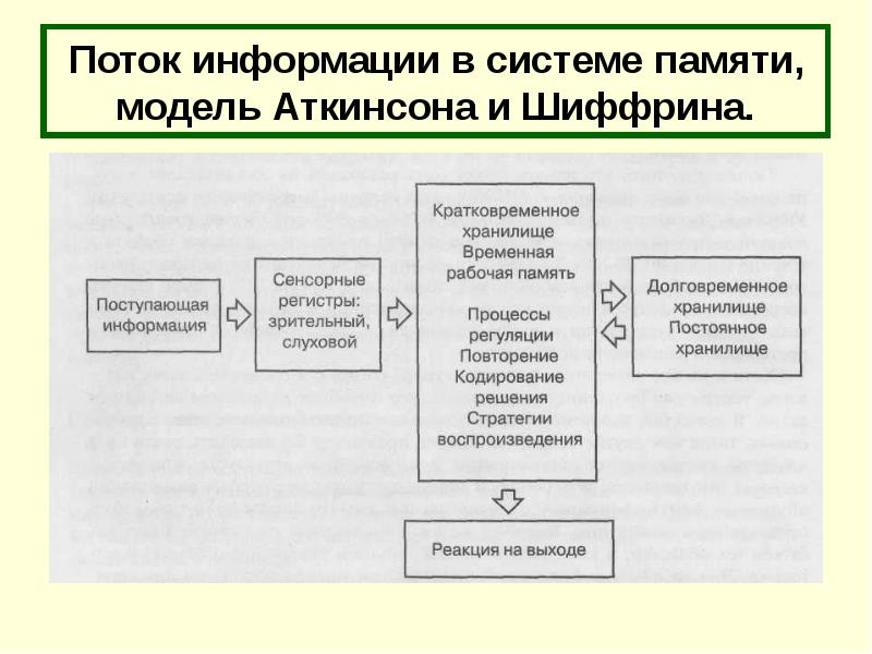 Схема памяти по р аткинсону и р шифрину