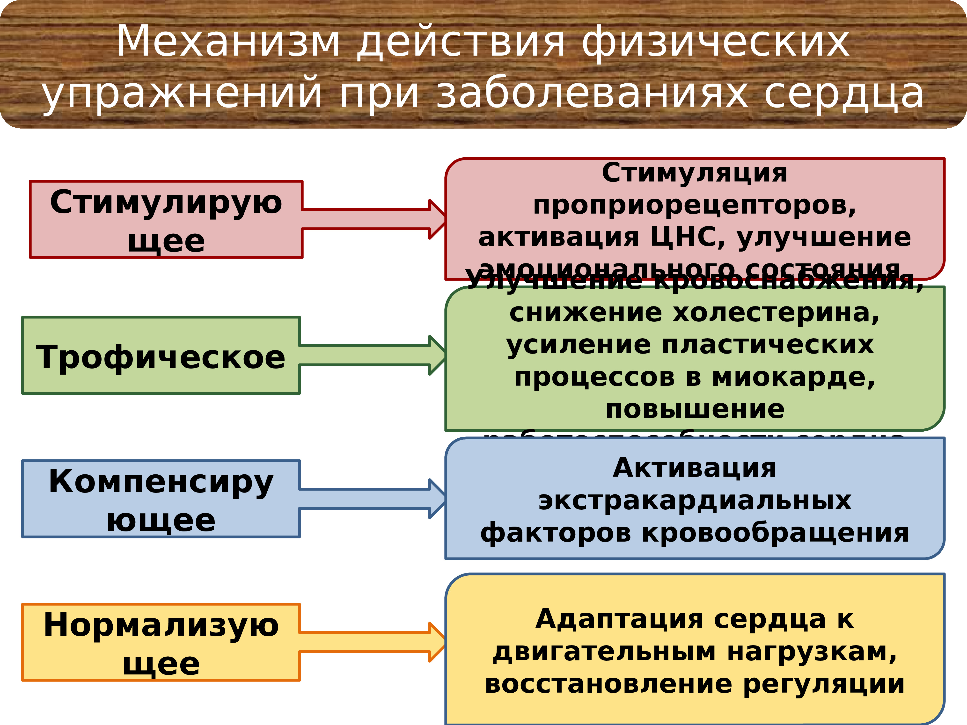 Презентация на тему лфк при заболеваниях сердечно сосудистой системы