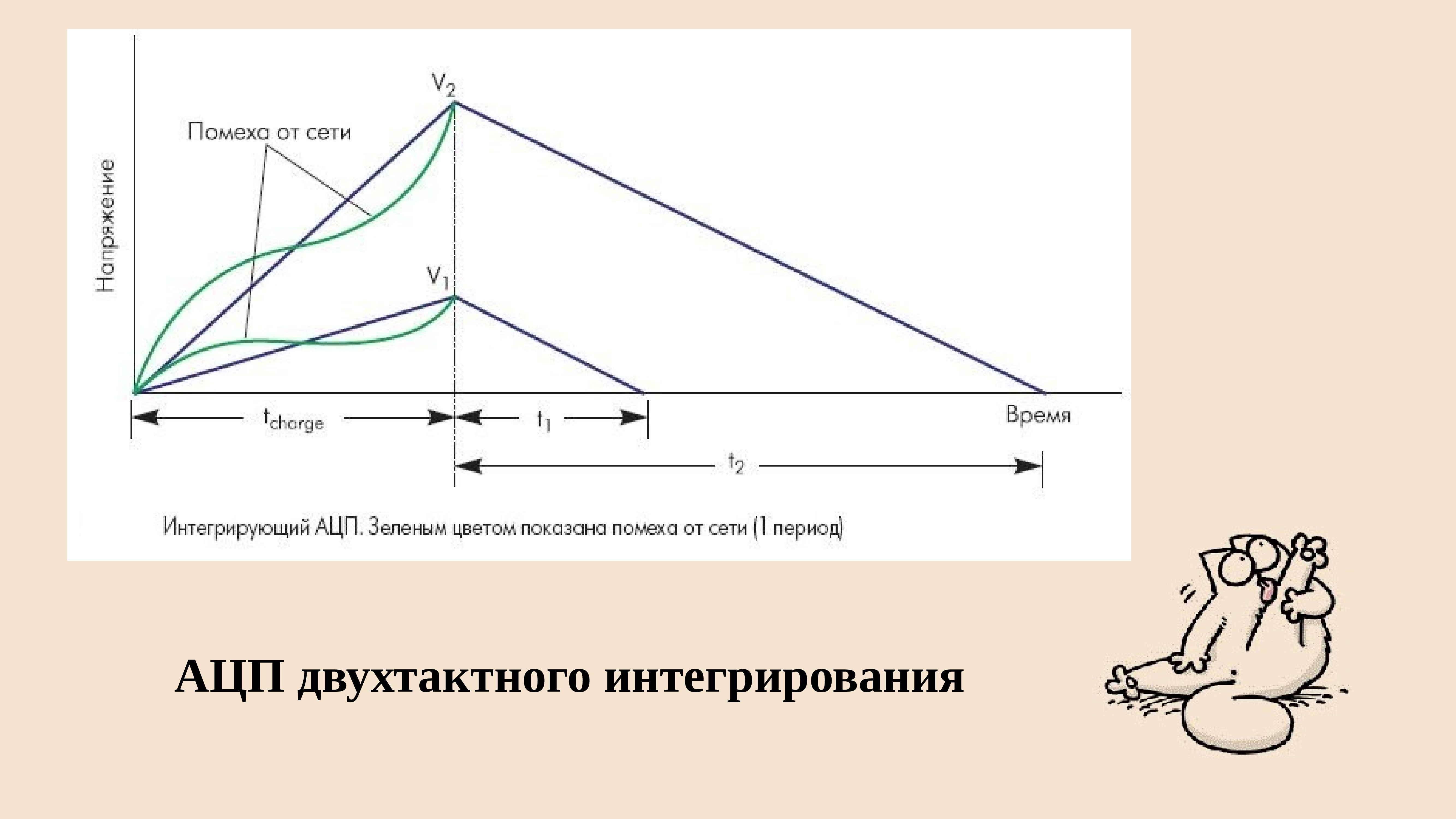 Период сети. Принцип ферма Сейсморазведка. АЦП метод двухтактного интегрирования. Принцип ферма в сейсморазведке. Принцип ферма геофизика.