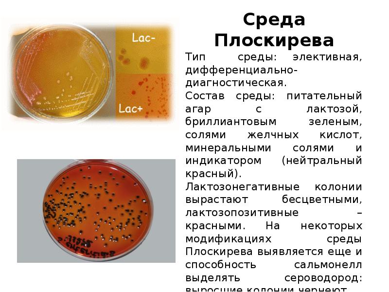 Занятие №4