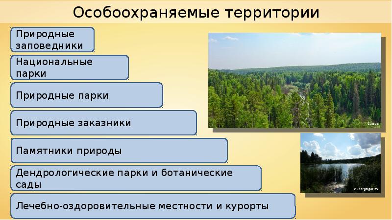 Законы об охране животного мира система мониторинга презентация 7 класс