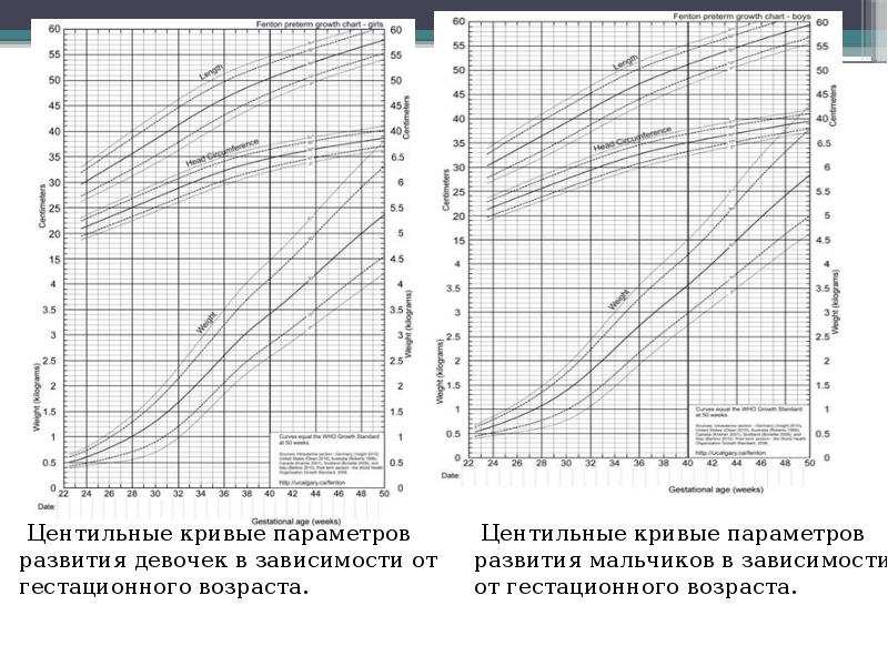 Диаграмма фентона девочки