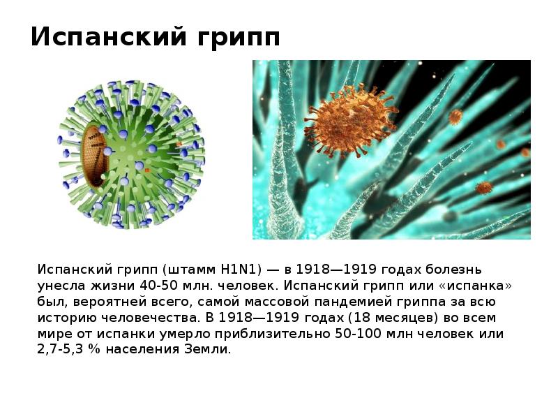 Презентация испанский грипп