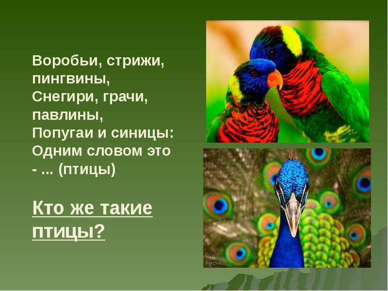 Технология попугай 1 класс школа россии презентация