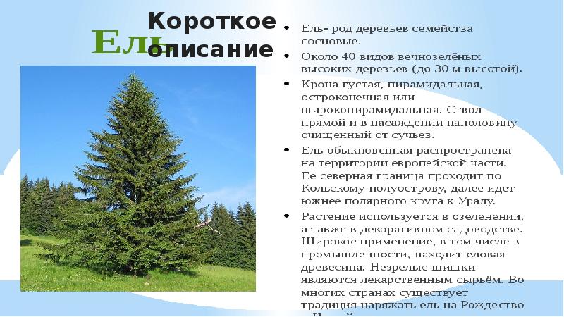 Короткое описание Короткое описание