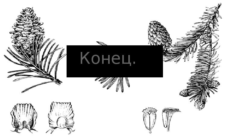 Конец. Конец.