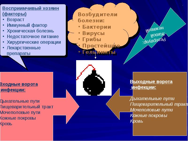 Профилактика иппп презентация