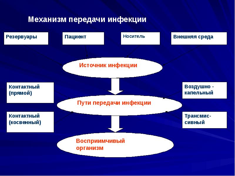 Профилактика иппп презентация