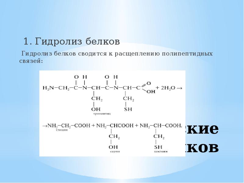 Презентация хим свойства белков