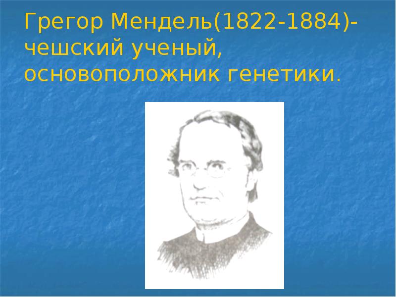 Проект по теме генетика и наследственные болезни человека