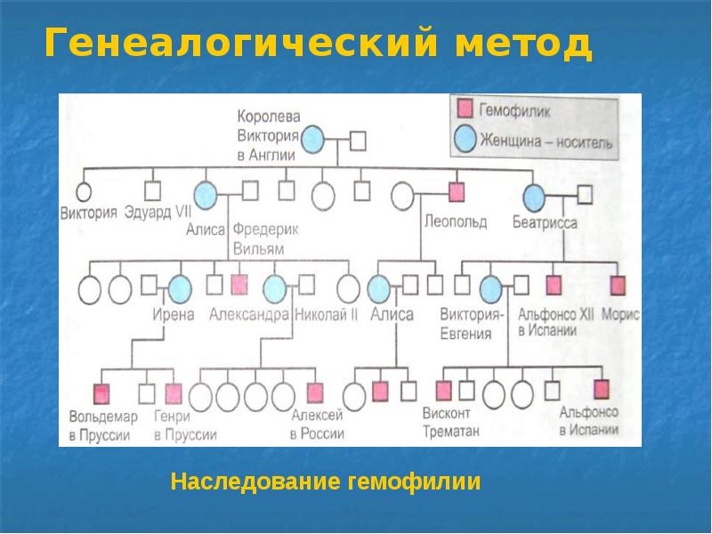 Проект по биологии 10 класс тема наследственные болезни