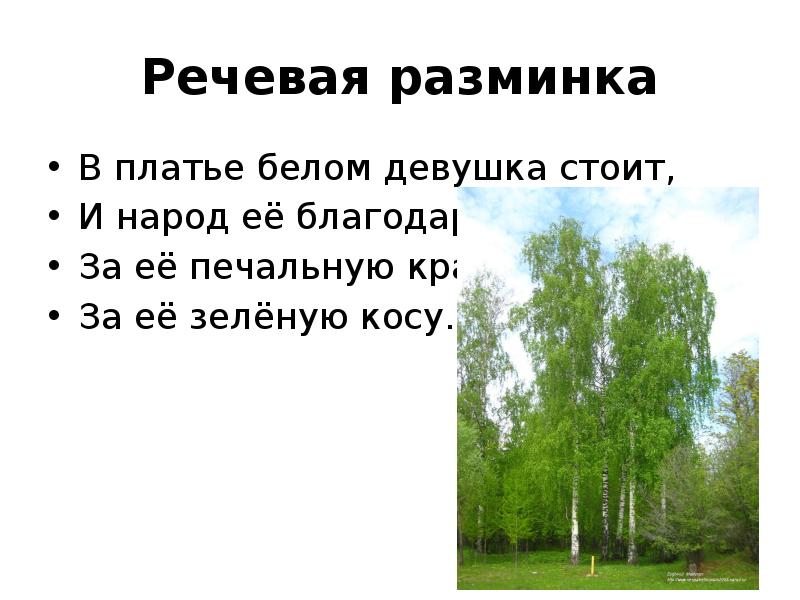 Песня белая береза