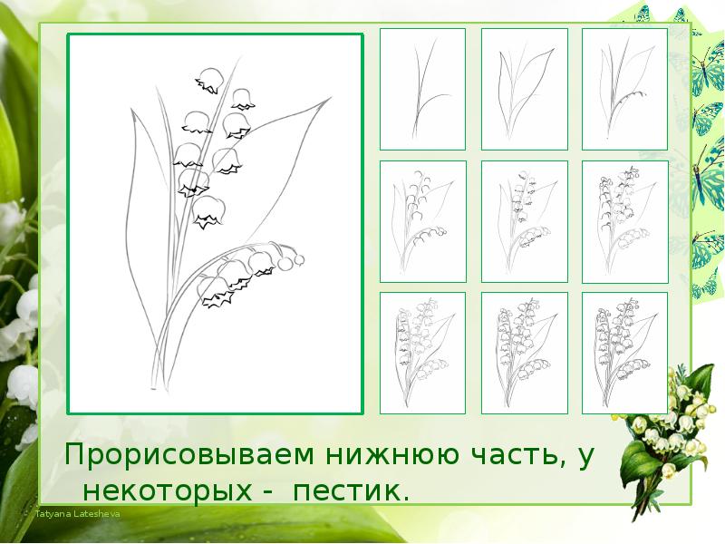 Ландыш рисунок для детей 2 класса