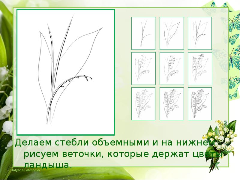 Рисуем ландыши поэтапно презентация 2 класс